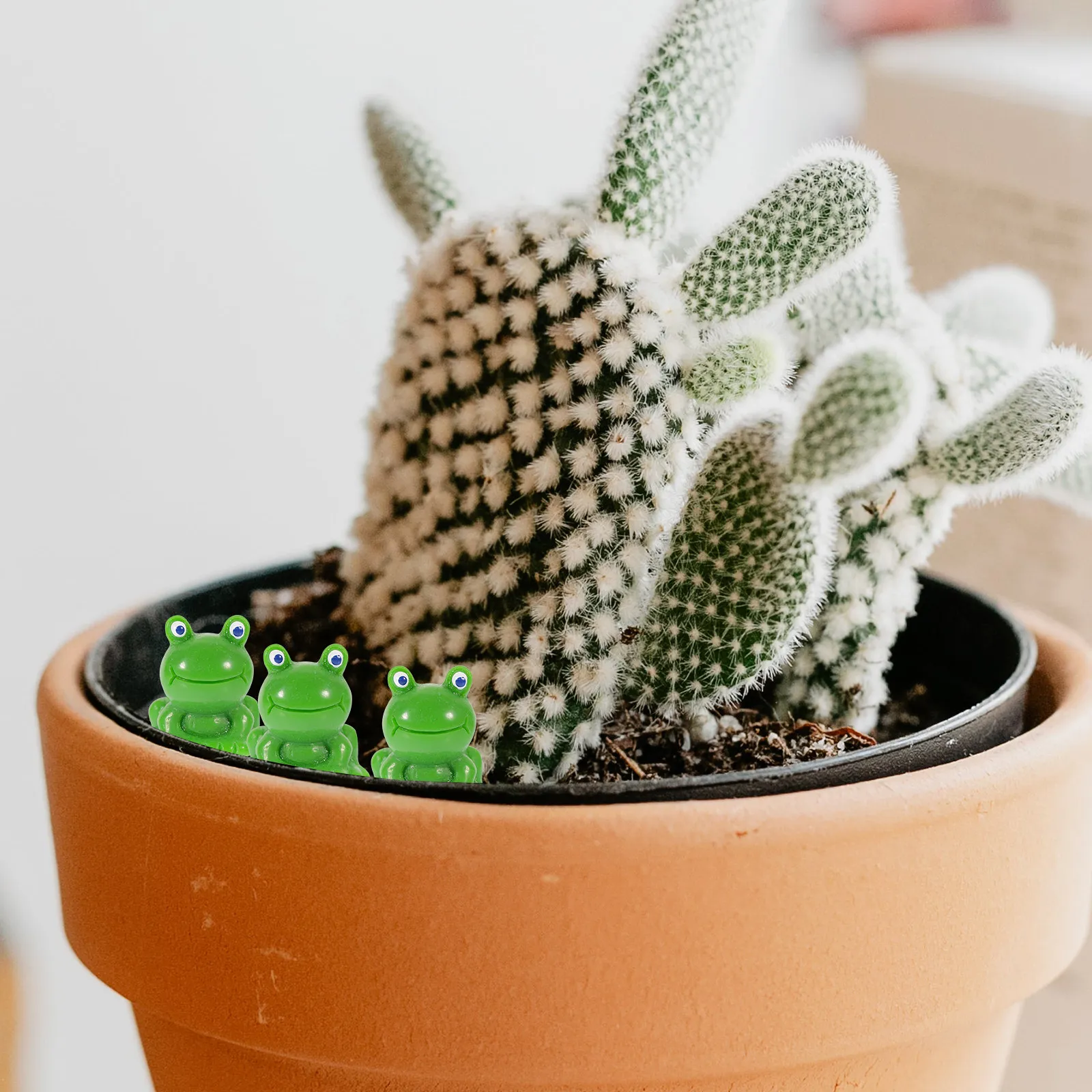 30 Adet Reçine Mini Kurbağa Ba - Bonsai Garden Landscape Design incelemesi ve fiyatı