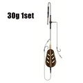 30g 1set