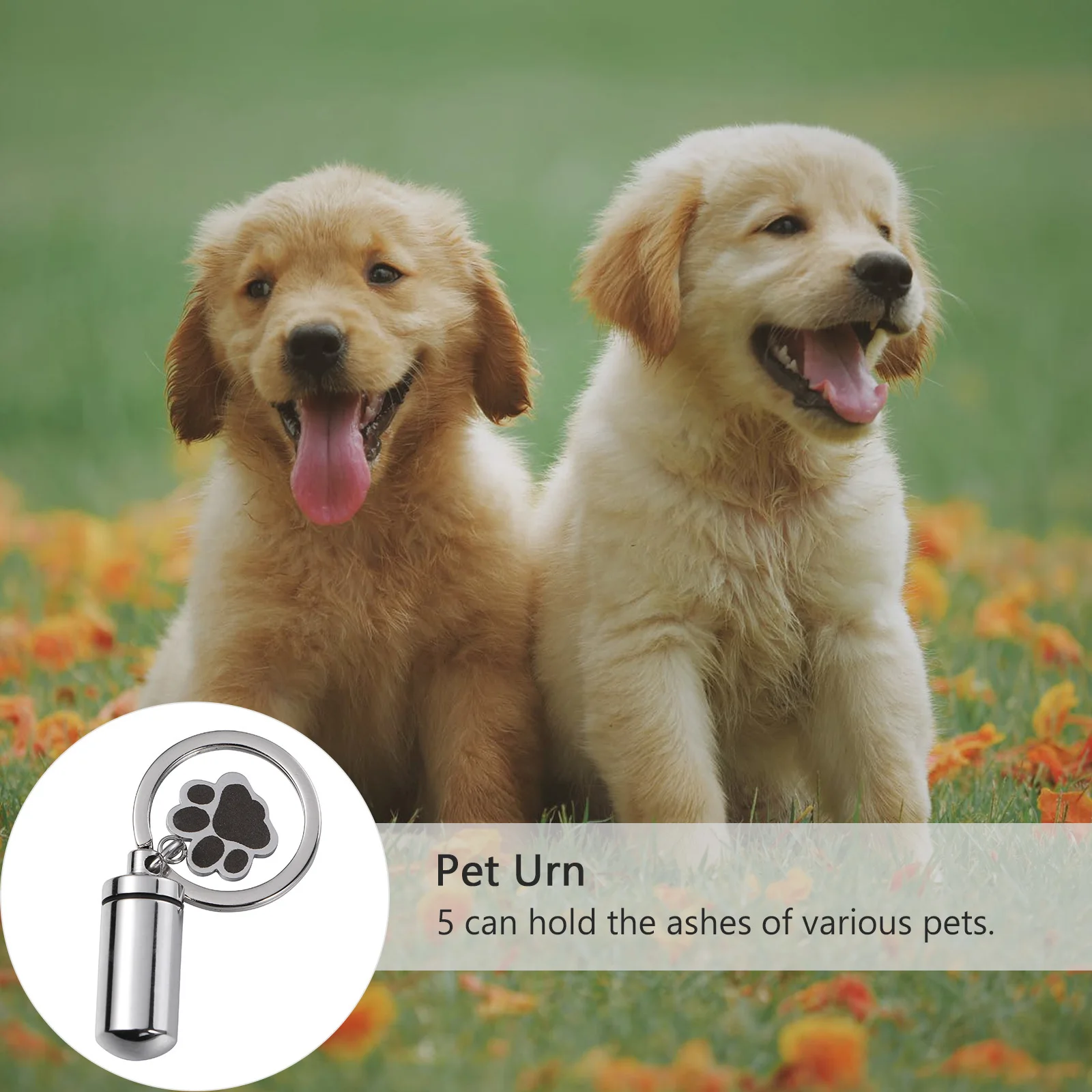 

Pet Memorial Jewelry Cinerary Urn Necklace Pendant Keepsake Dog Paw Shaped Tribute Portable Easy Carry Pet Urn