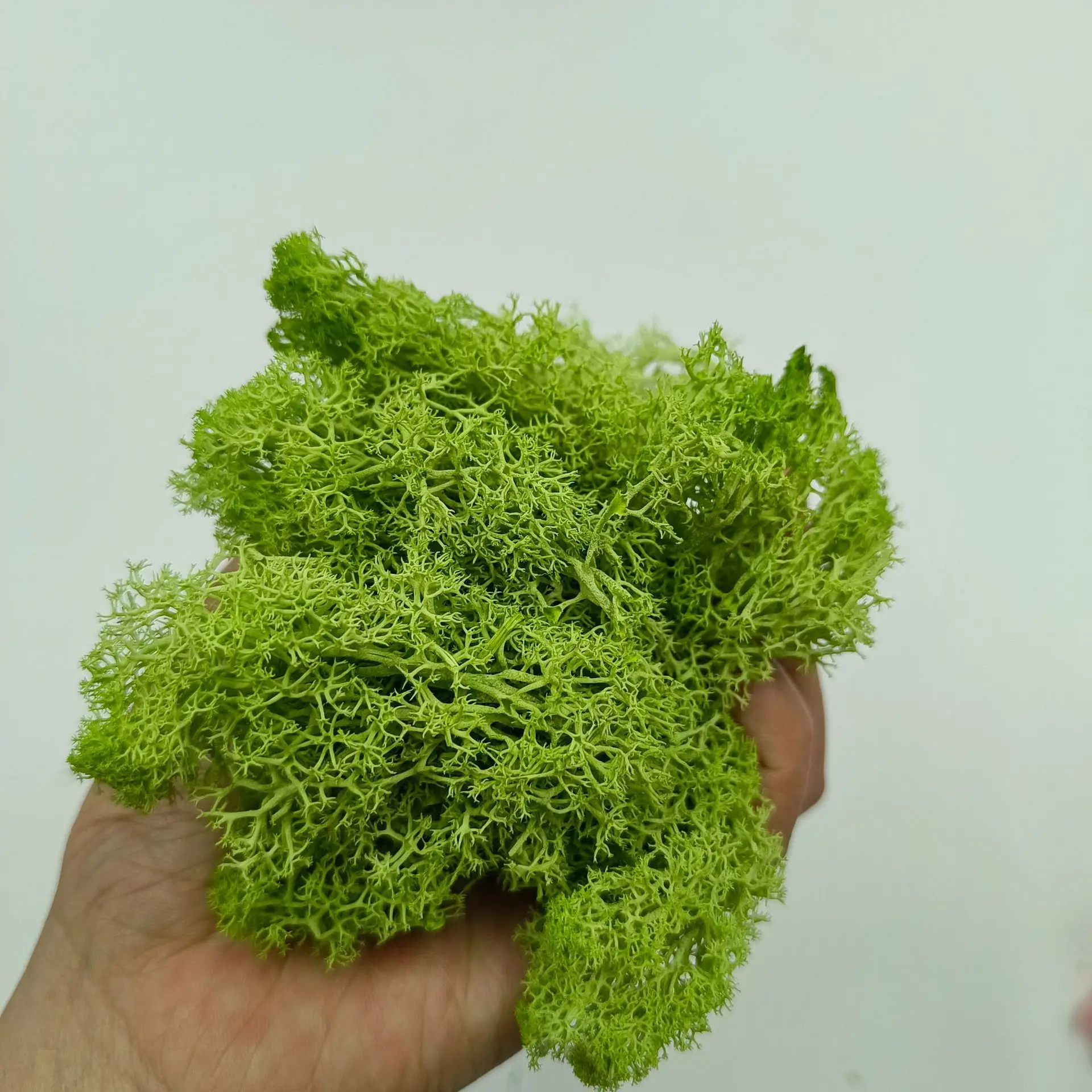 10g/bag Simulation Mini Moss Plant Material for Sand Table Landscape Layout DIY Model Kit Diorama Accessories