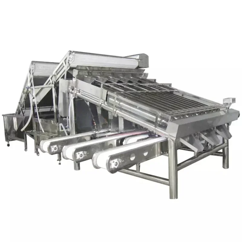 Classificateur 238 facile à utiliser, machine de sélection, ShriAJsize