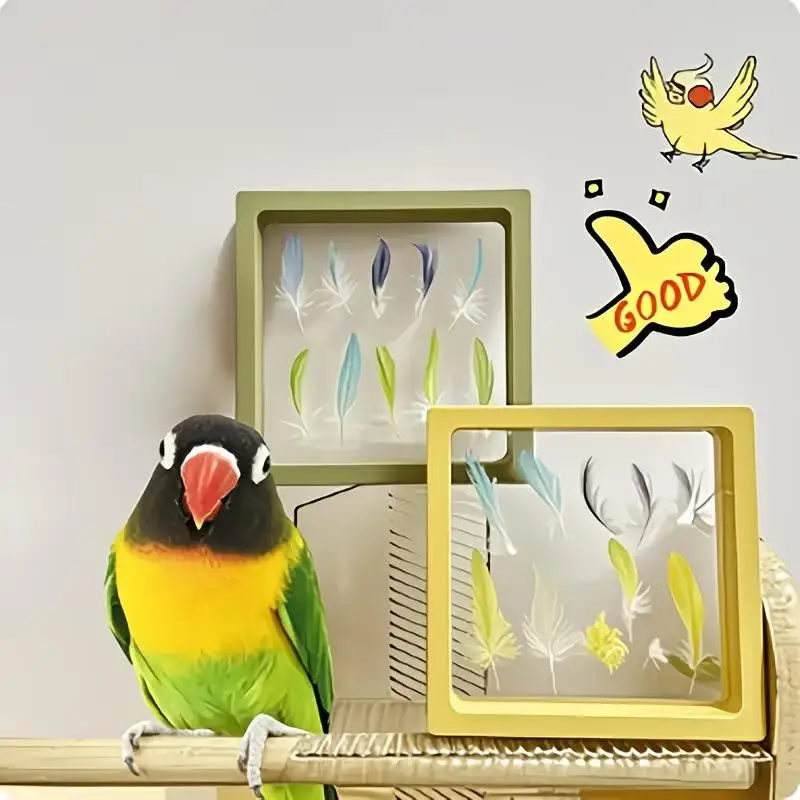【HG】Transparent Pet Feather Memorial Photo Frame Pet Bird Parrot Feather Collection Display Box Home Office Decor Memorial Gift