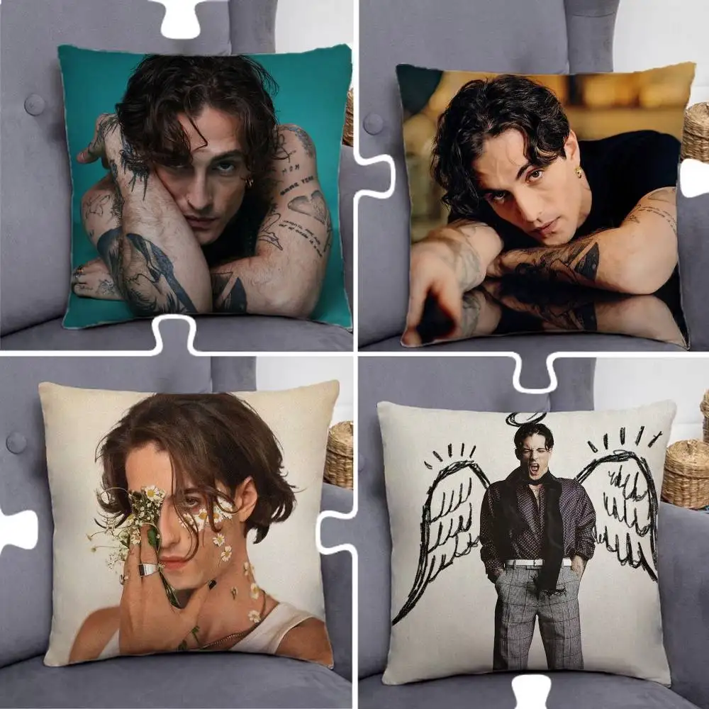 D-Damiano S-Singer David Pillow Case Pillowcase Home Sofa Cushions Car Cushions Pillowcover Office Pillowshell Pillow