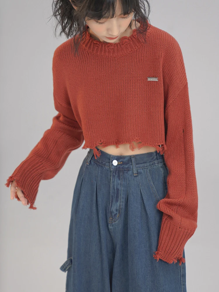 2023 Spring Summer Korean Fashion Women Crop Tops Long Sleeve O-Neck Sweater Solid Color Knitwear Streetwear Loose Casual Tide