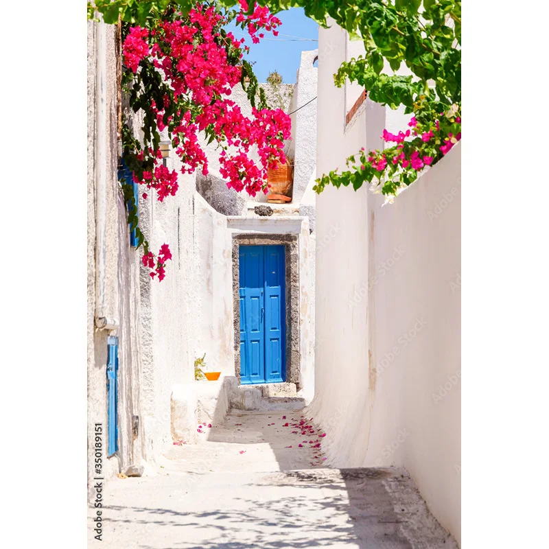 Flower  Seaside Island Scenery and Green Plants Old House White Pigment Wedding Photography Background Prop LJD-06