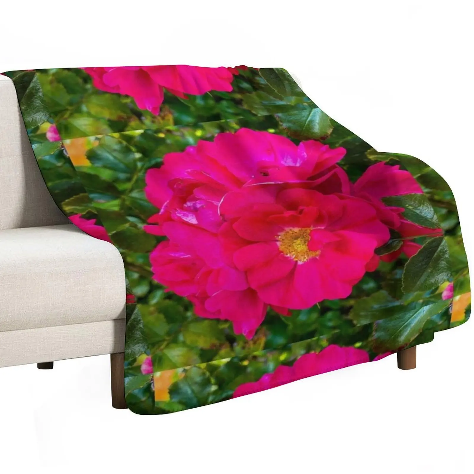 Bright Pink Roses Are My Favourite Throw Blanket Cozy Sofa Blanket for TV Watching Napping