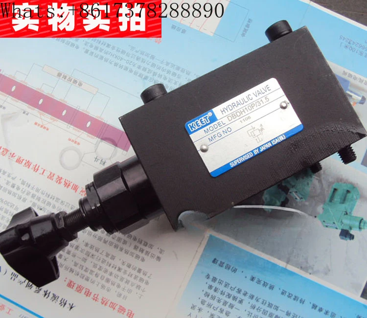

Helisen Direct Acting Relief Valve Hydraulic Pressure Regulating Valve Cartridge Relief Valve DBDH10P/31.5
