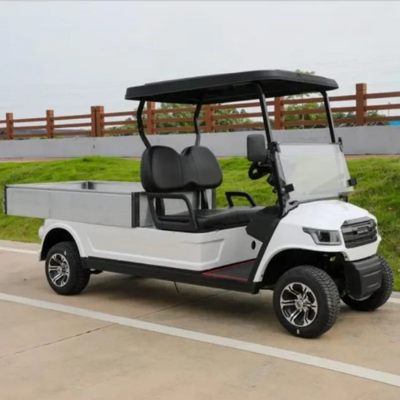 Newest Electric Gol…