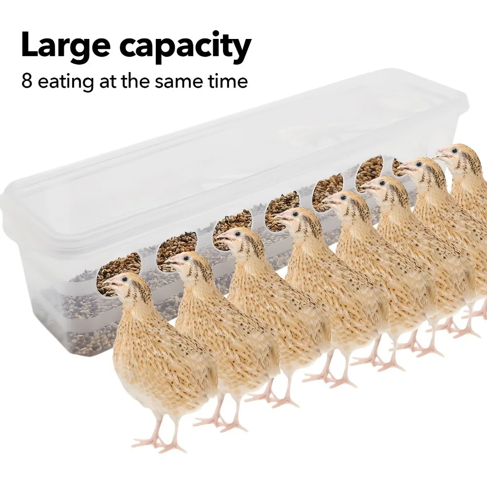 8-Port Automatic Bird Feeder - Large Capacity Transparent Dispenser, Durable Indoor Outdoor Sturdy Plastic Wildlife Feeder 3
