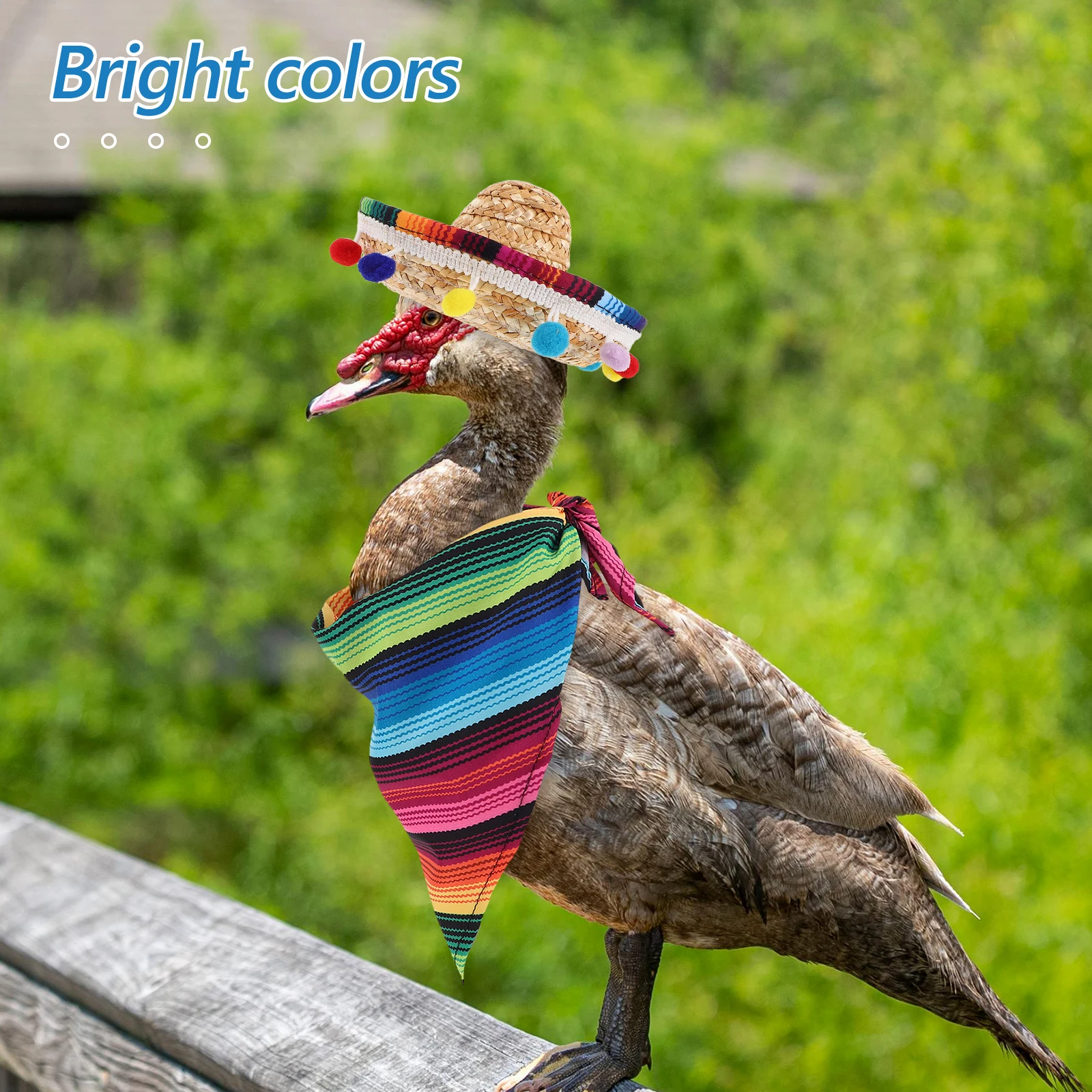 

Mexican Porch Outfits Lawn Statue Clothes Set Sombrero Hat Bandana Duck Party Garden Decoration Yard Accessories Outfit