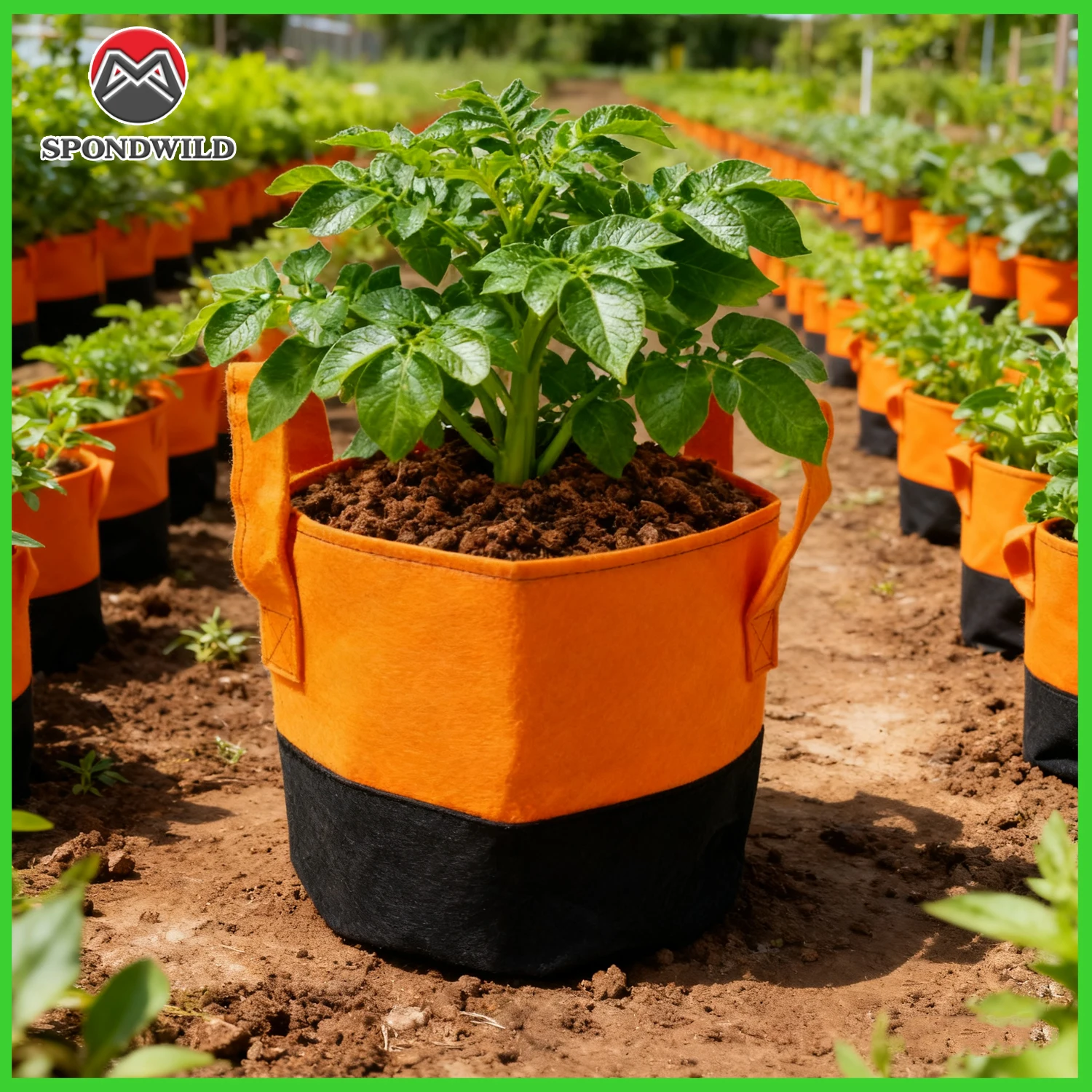 أوعية زراعة هوائية سعة 5/7 جالون، قماش ممتاز غير منسوج بمقابض معززة، مزارعات متعددة الأغراض لزراعة الخضروات #1