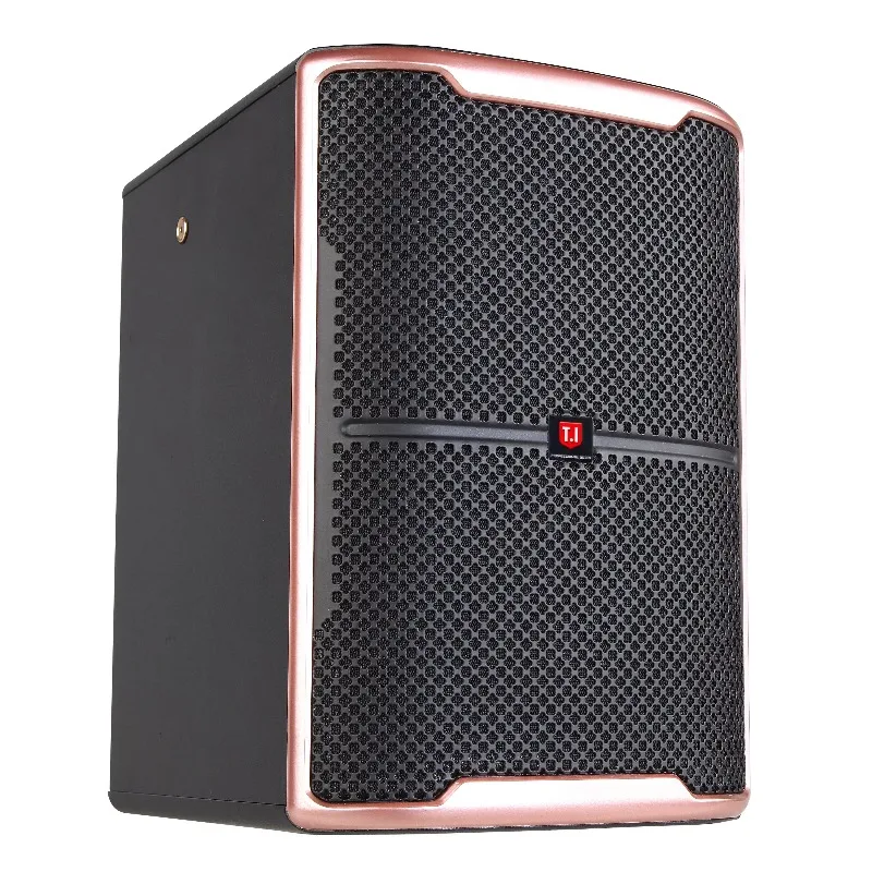 6.5 Inch Molded Speaker Box, Portable Audio Speaker with Amplifier for Daily and Commercial Use