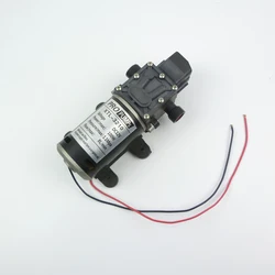 Automatic pressure switch 100W 8LPM high pressure diaphragm self priming mini electric Water Pump 12v 24v dc