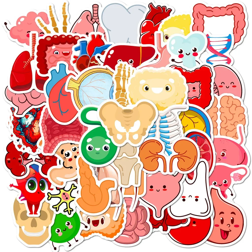 50Pcs Cute Human Organ Stickers, Cartoon Anatomy Illustration Decals for DIY Scrapbook & Tumbler Decor Giajar Sticker Store
