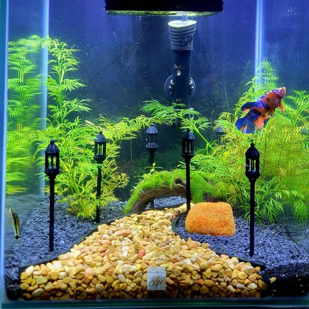 GRAVEL DIVIDER Fish Tank Decor for Aquariums & Terrariums