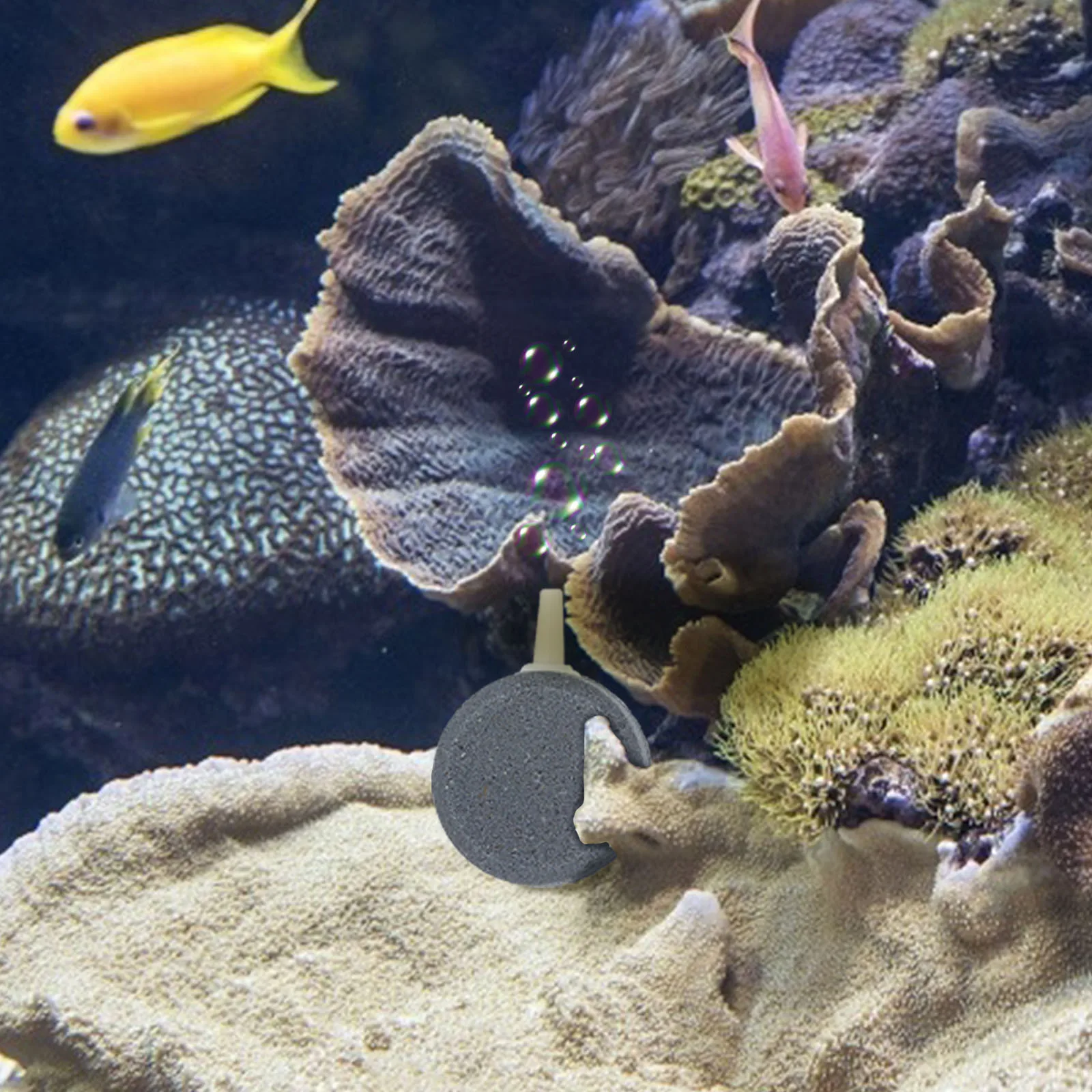 

5Pcs Fish Tank Air Stone Oxygen Pump Aquarium Aeration High Quality Materials Practical Durable