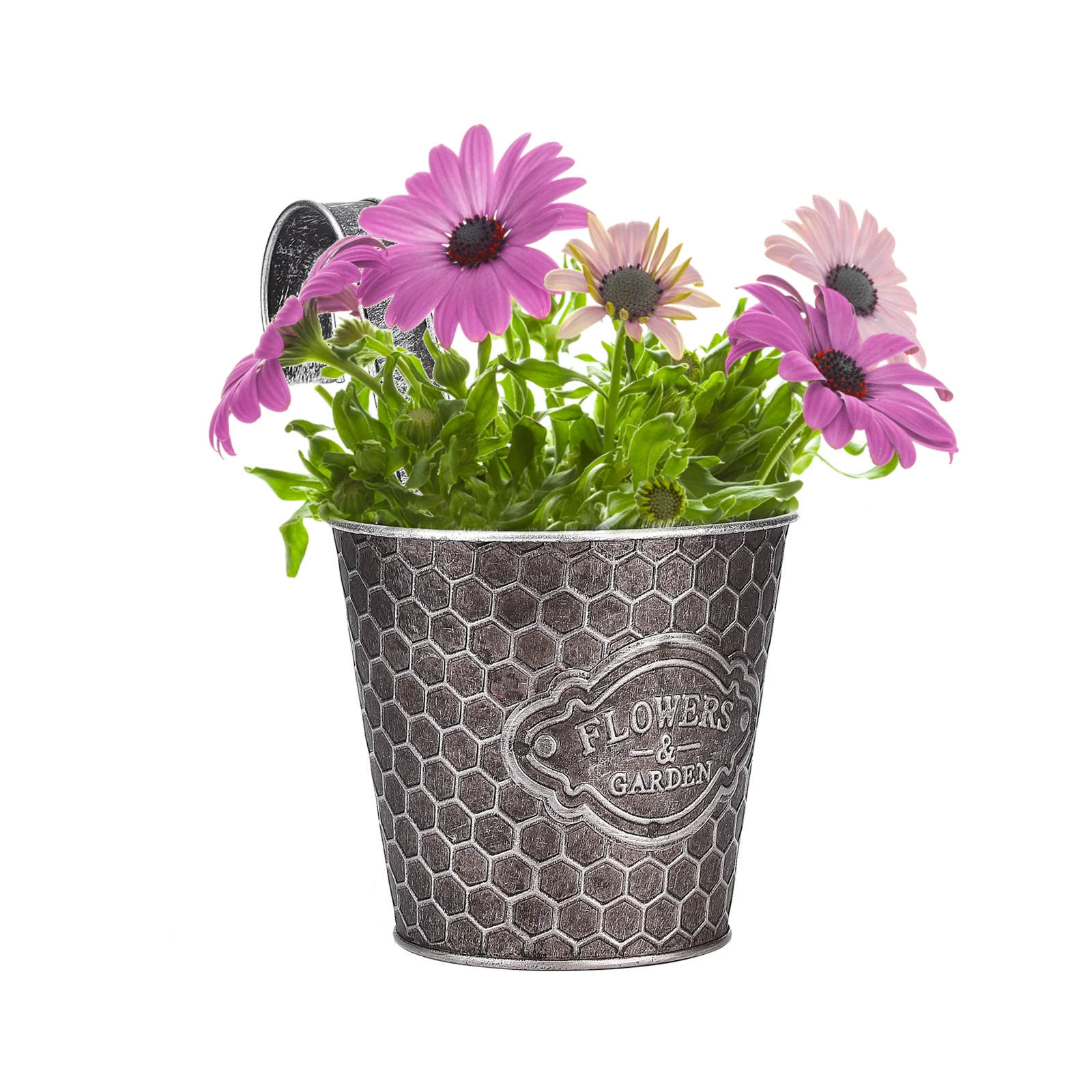 Metal Wall Planter Tin Bucket For Gardening Pots Detachable Portable Flower Barrel With Hook