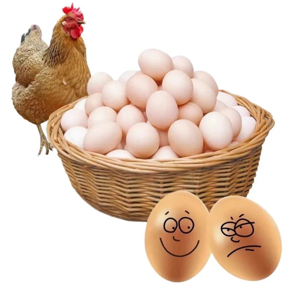 5pcs Fake Chicken Eggs Plastic Help Hens Lay Eggs Poultry Hatching Chicken Coop Supplies Colored Drawing Graffiti Teaching Aids