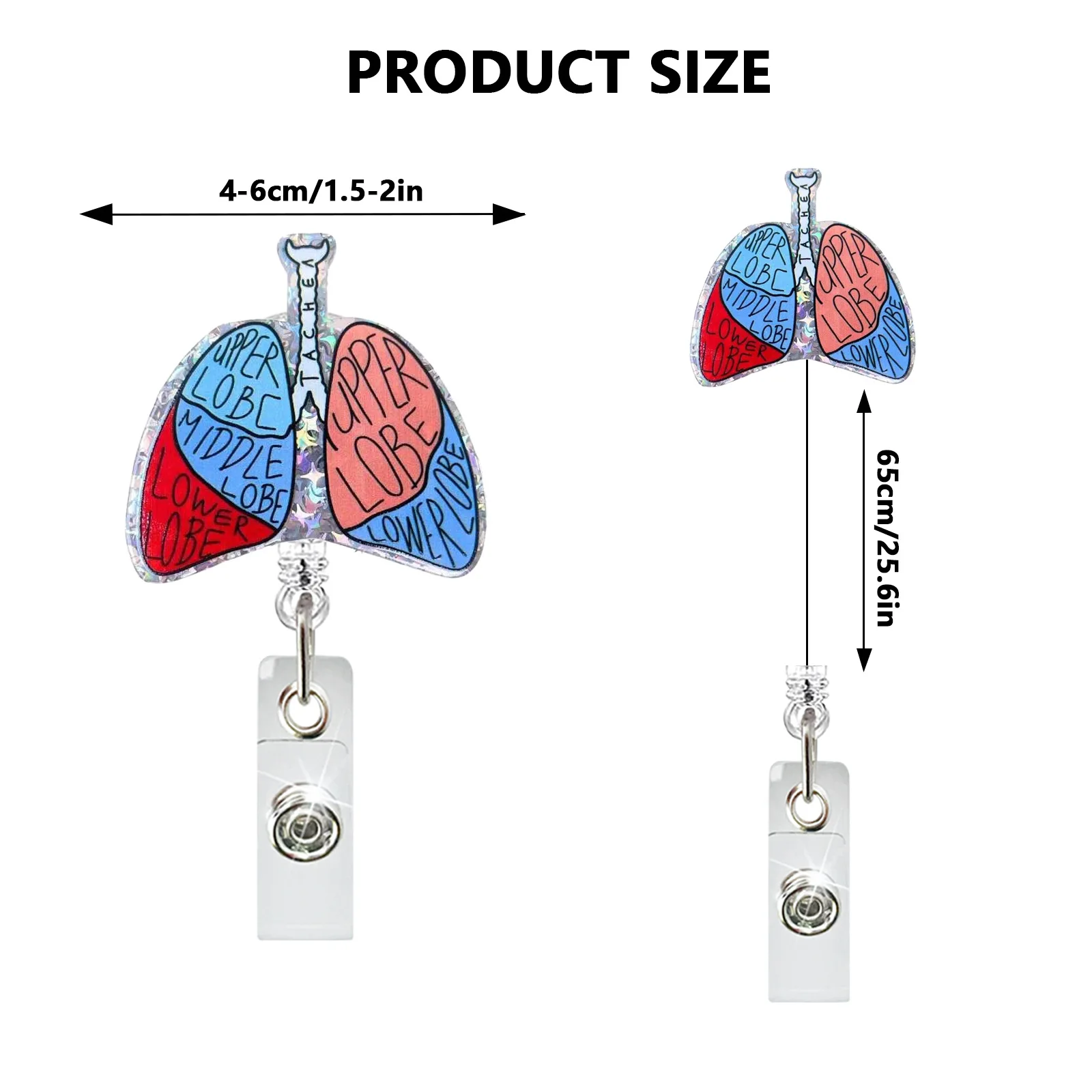 Creative Acrylic Heart Lung Brain Kidney Uterus Intestine Pattern Badge Reel Retractable Alligator Clip ID Card Holder Doctor