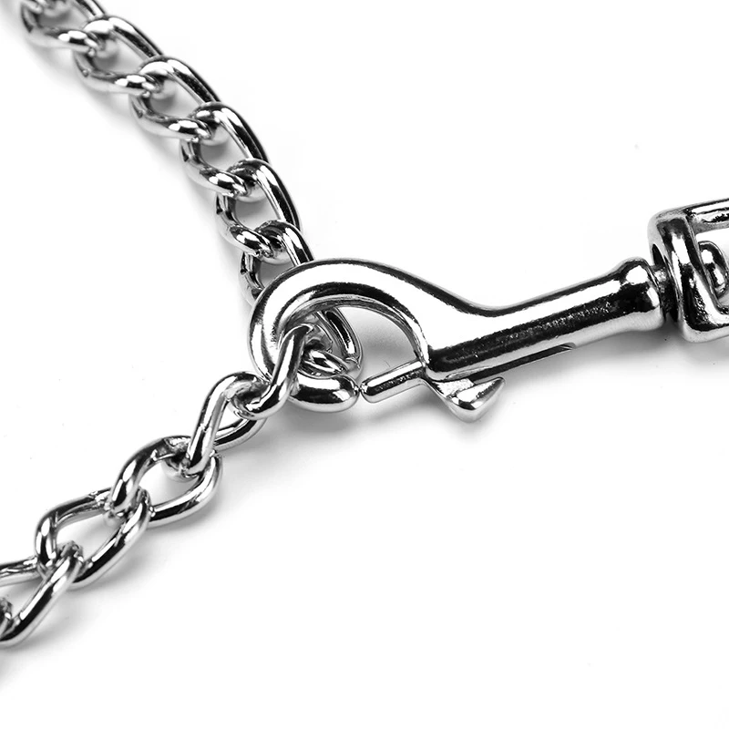 Metal Chain Dog Training Leash 6