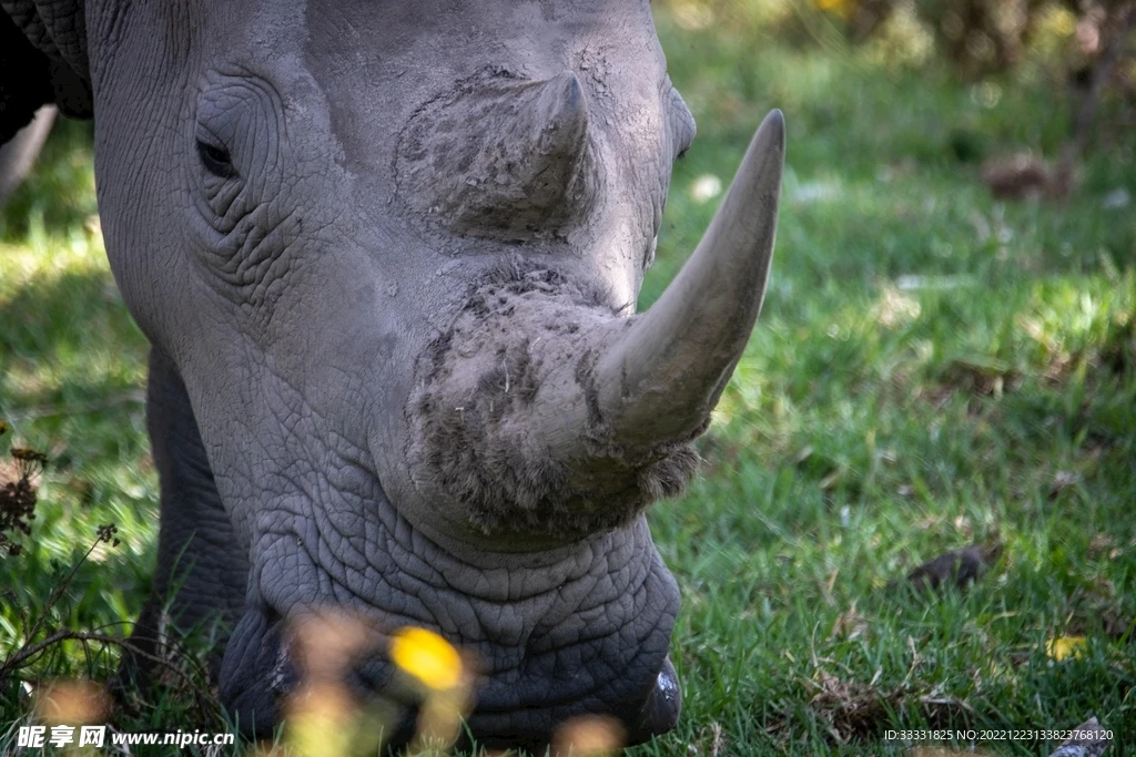 

1 шт. металлический сервопривод 25T для радиоуправляемых краулеров 1/10
