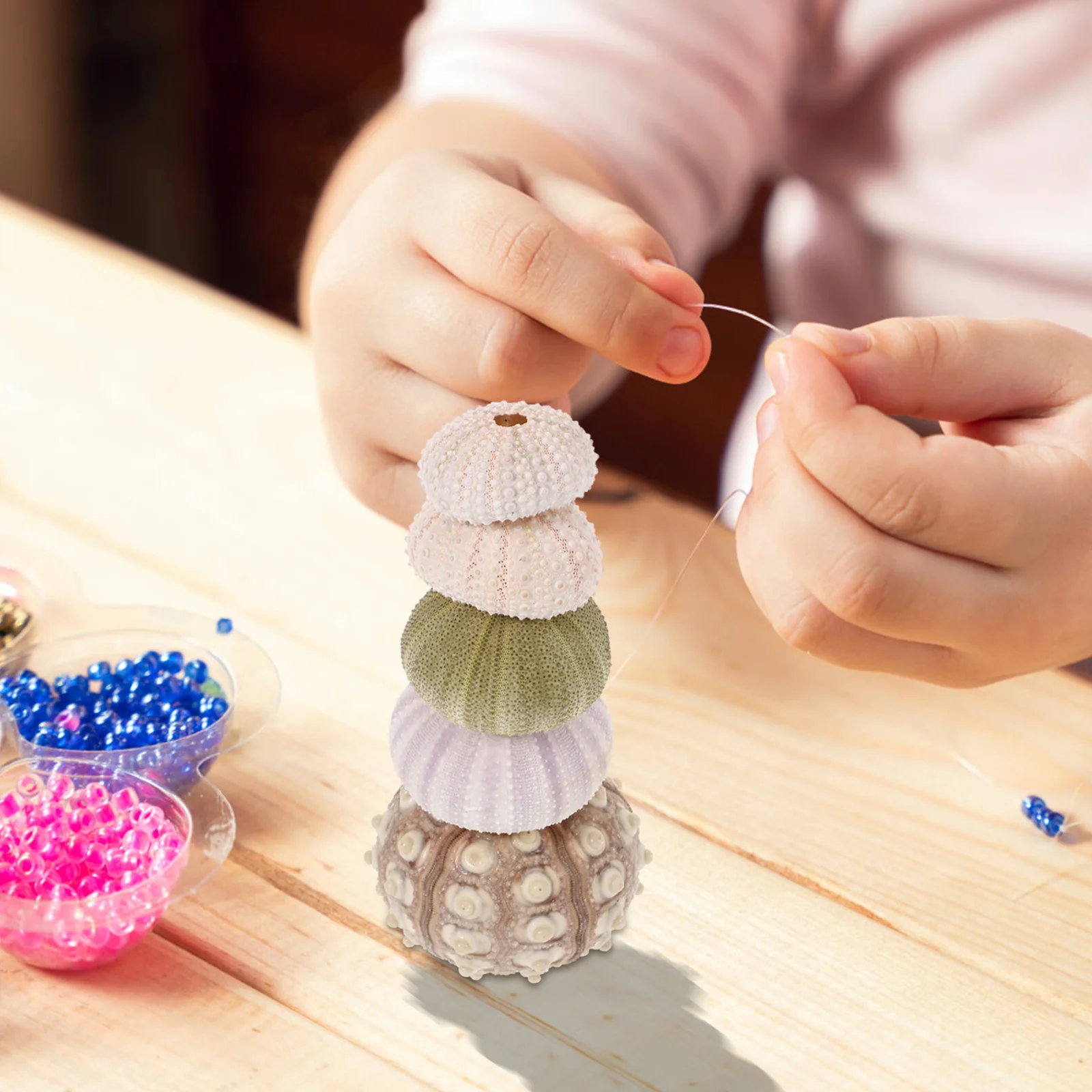 

5Pcs Natural Sea Urchin Shell Air Plant Pot Small Sea Urchin Shell Tabletop Decor Air Plant Container Aquarium