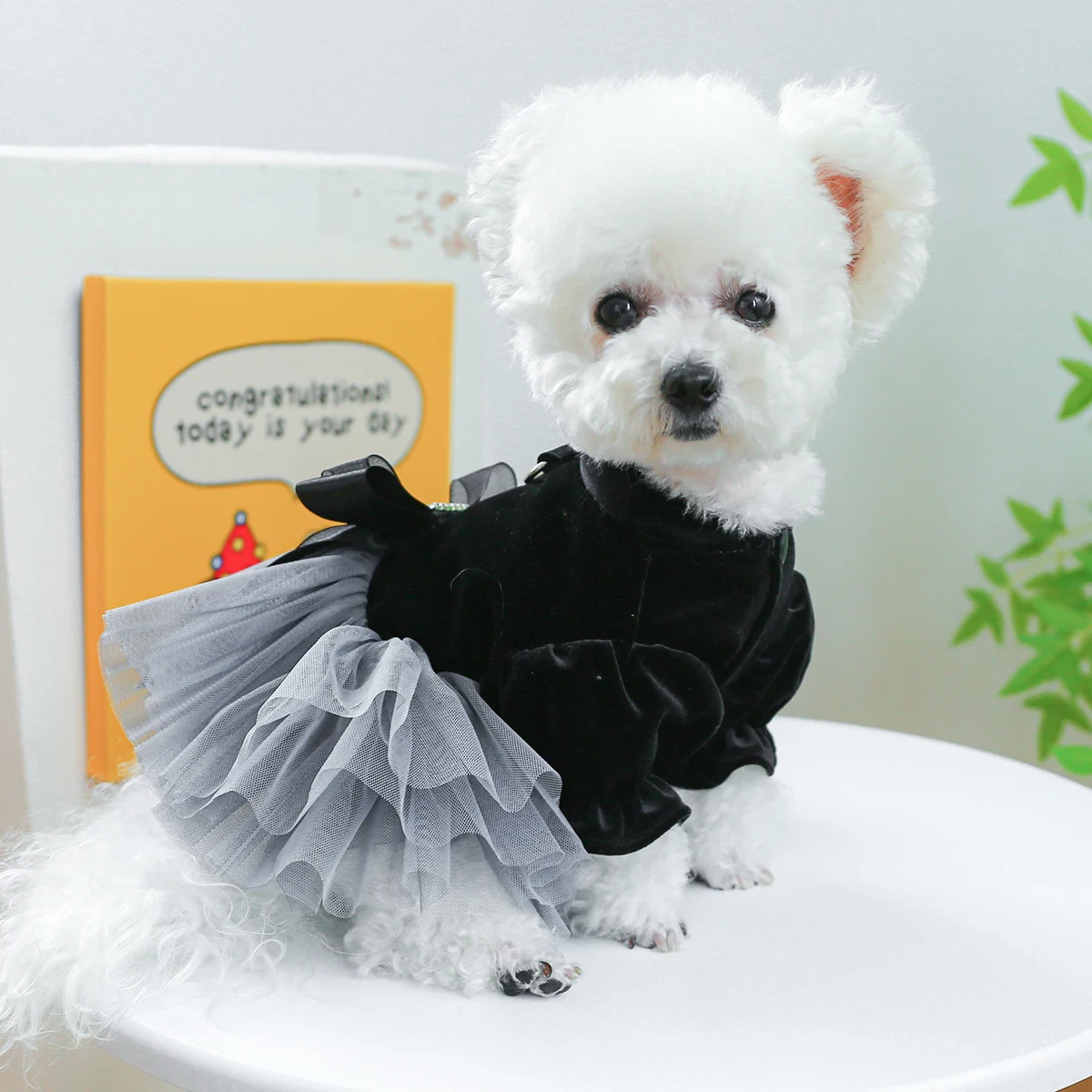 1PC Pet Clothing Dog Cat Spring Autumn Thin Black Velvet Bow Princess Mesh Dress With Drawstring Buckle For Small Medium Dogs