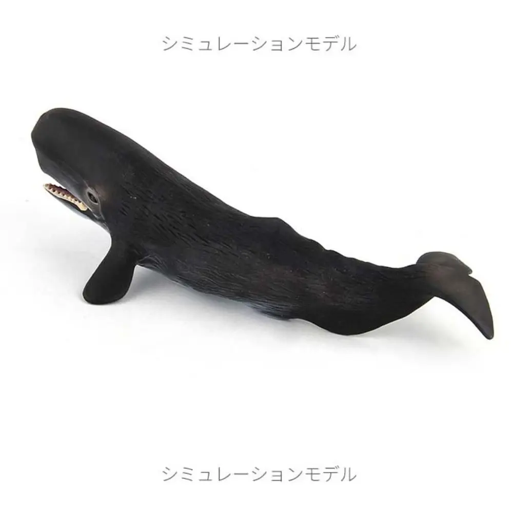 Simulation créative modèle d'animal marin sperme baleine océan animaux baleine Figurines solide PVC éducatif vie marine Figure enfants jouet