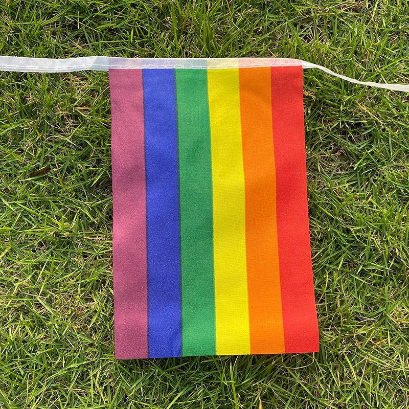 Aerlxemrbrae  5.5M 20pcs/set14cmx21cm  Rainbow string flag   Polyester standard Flag Gay Pride Peace Flags