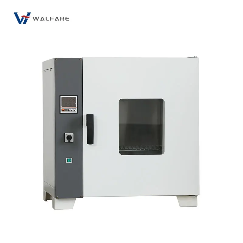 Laboratory Equipment Incubator Benchtop Electric Blast Drying Oven Thermostatic With Constant Temperature Control