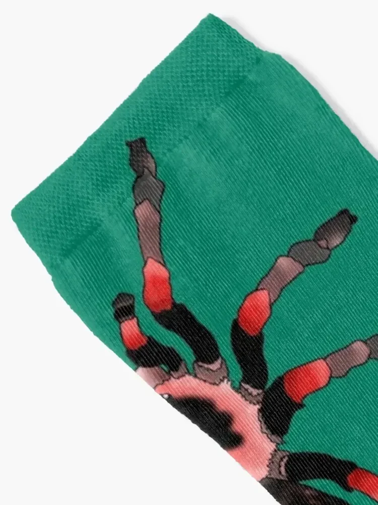 مجموعة جوارب الرتيلاء الحمراء للركبة جوارب رجالية فاخرة للثلج للنساء والرجال