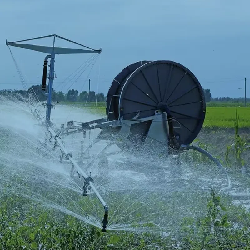 Hot Sale Sprinkling Irrigation /Water Hose Reel Irrigation Systems with Rain Spray for Sale