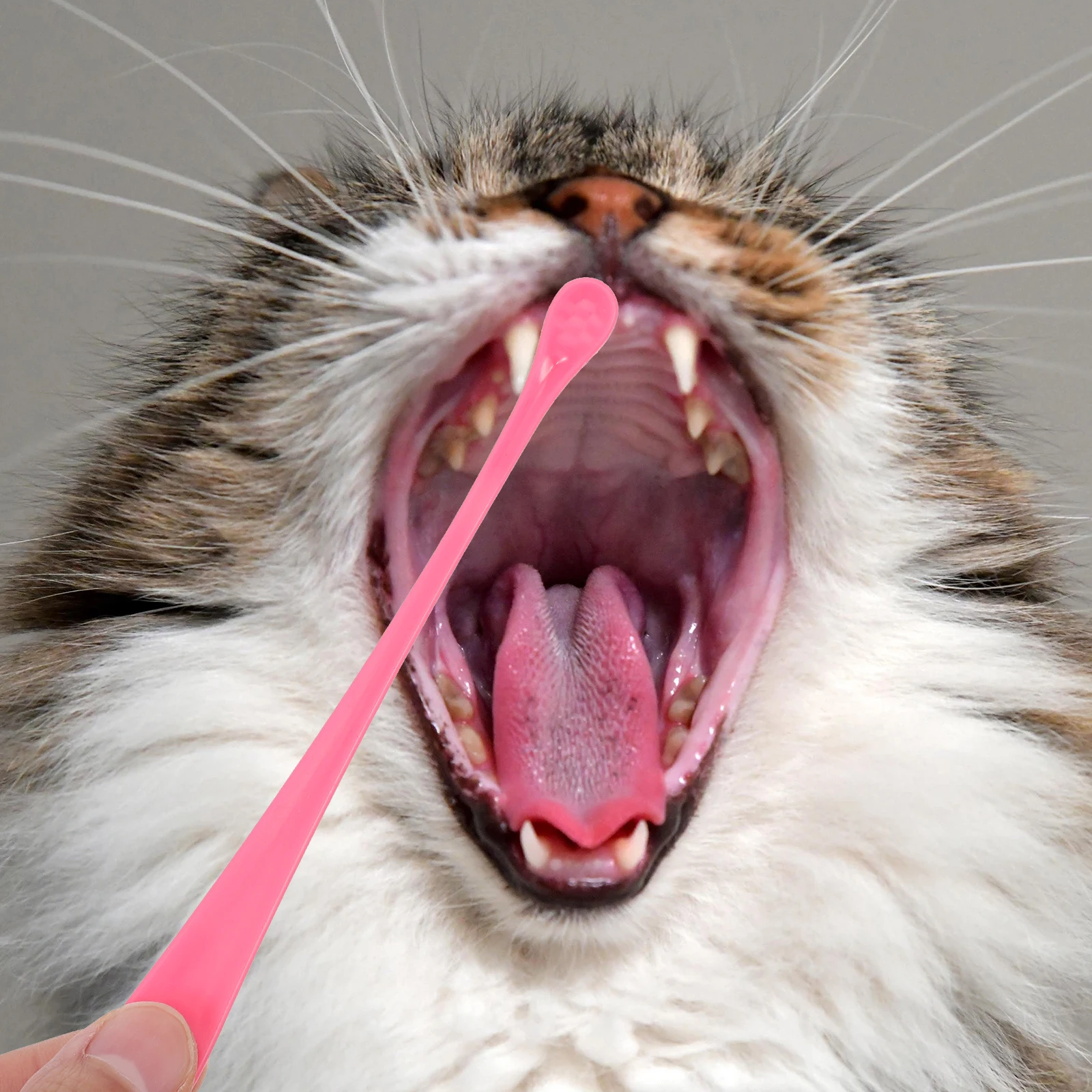 

2 Pcs Toothbrush Dog Cat Soft Bristle Teeth Cleaner Portable Supplies al Care Dental Health Pets Toothbrush Accessories