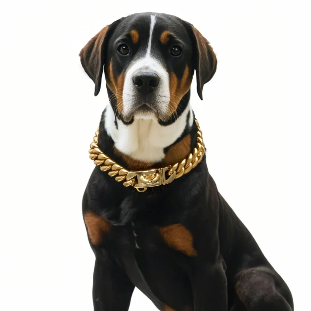 Premium 14mm Stainless Steel Pet Necklace P Chain in Gold for Small, Middle & Large Dogs