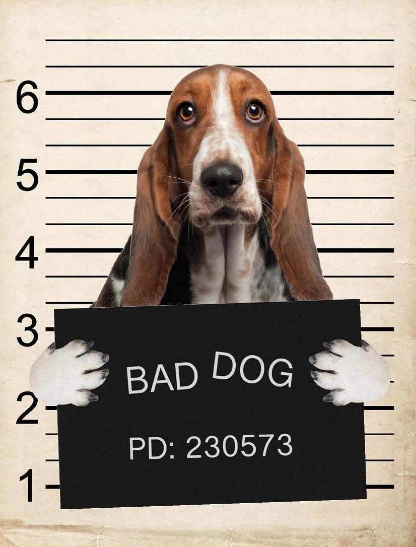 Beware of Basset Hound Dog 8” X 12” Vintage Metal Tin Sign, Retro Warning Sign,Home Kitchen Bathroom Cafe Yard Bar Garage Decor