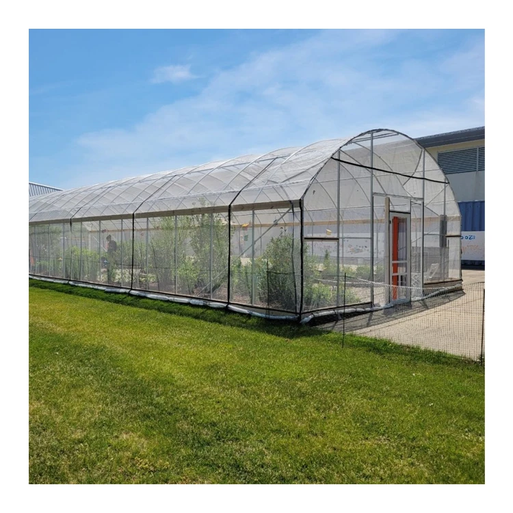 Smart Complete Set Cheap Greenhouse Grow Tent Equipment Garden Insect Net Cooling System Farming Green House Frame