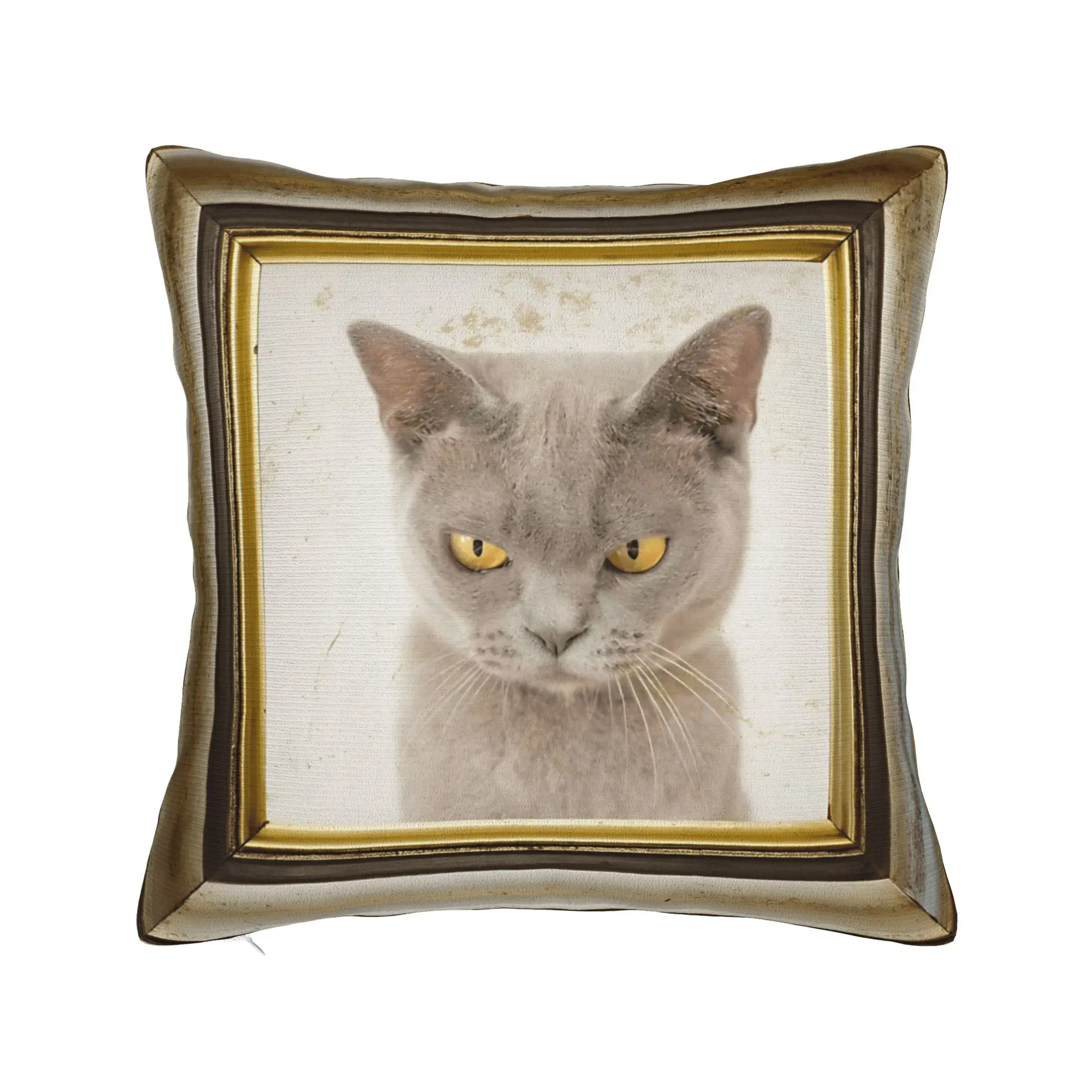 Cute Caroon Cat Portrait Photo Frame Art Pillow Case  Morden Pillow Cover Comfy Pillowcases For Living Room Bed Chair