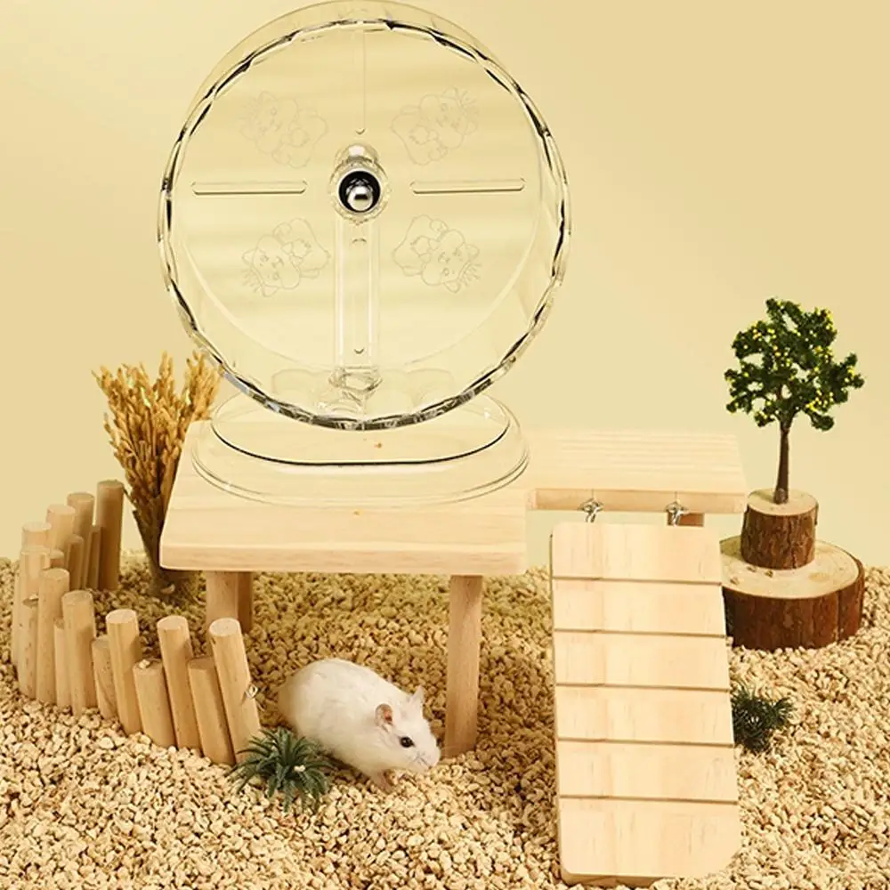 Silent Dual‑Bearing Hamster Running Wheel Transparent Acrylic Exercise Wheel Quiet Spinning Toy for Syrian Dwarf Hamster S view 4