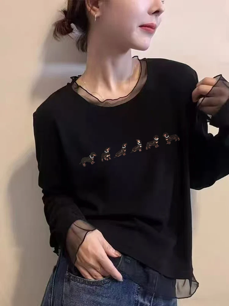 Fashionable Long Sleeve T-Shirt Women's Mesh Lace under Shirt Korean Style Autumn Winter New Style Slimming Top Commute Style