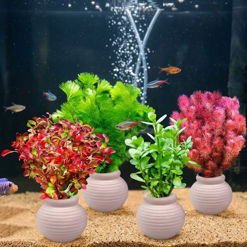 10Pcs Pottery Aquatic Plant Fixed Rings Floating Holder For Fish Tank Aquarium Water Grass Stabilization Hydroponics Accessories
