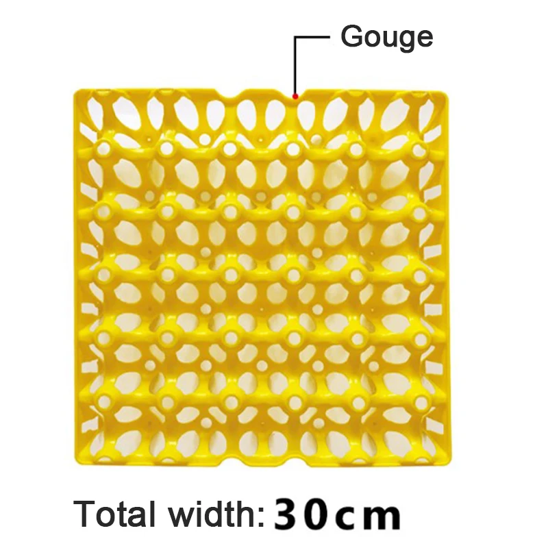 Plastic Egg Tray Can Hold Thirty Eggs Egg Storage Box Easy To Store And Clean
