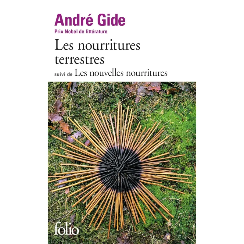 

Les Nourritures Terrestres Andr Gide FOLIO 9782070361175 Book