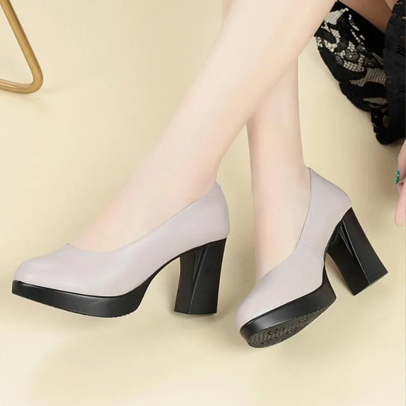 DIMANYU Women Office Shoes High Heel New 2024 Spring Genuine Leather Women Shoes Platform Fashion Large Size Women Dress Shoes