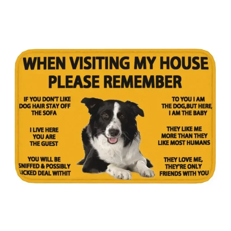 Border Collie Front Door Mat Anti-Slip Outdoor Waterproof Pet Dog Gift Doormat Floor Bathroom Entrance Rug Carpet