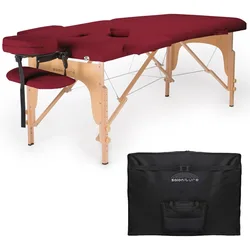 Professional Portable Folding Massage Table with Carrying Case