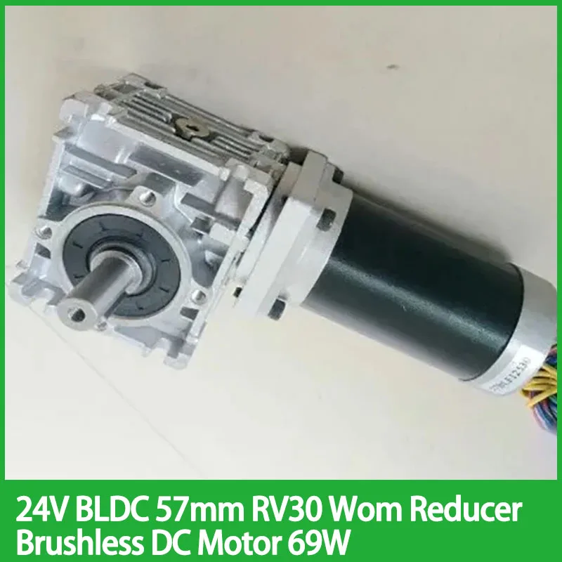 24V BLDC 57mm RV30 Worm Reducer Brushless DC Motor 69W Gear Ratio 5:1 - 80 :1 dual output shafts