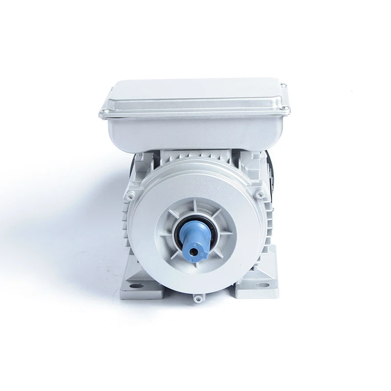 Single-Phase 50Hz AC Volta Motor 220V AC Motors Product Type