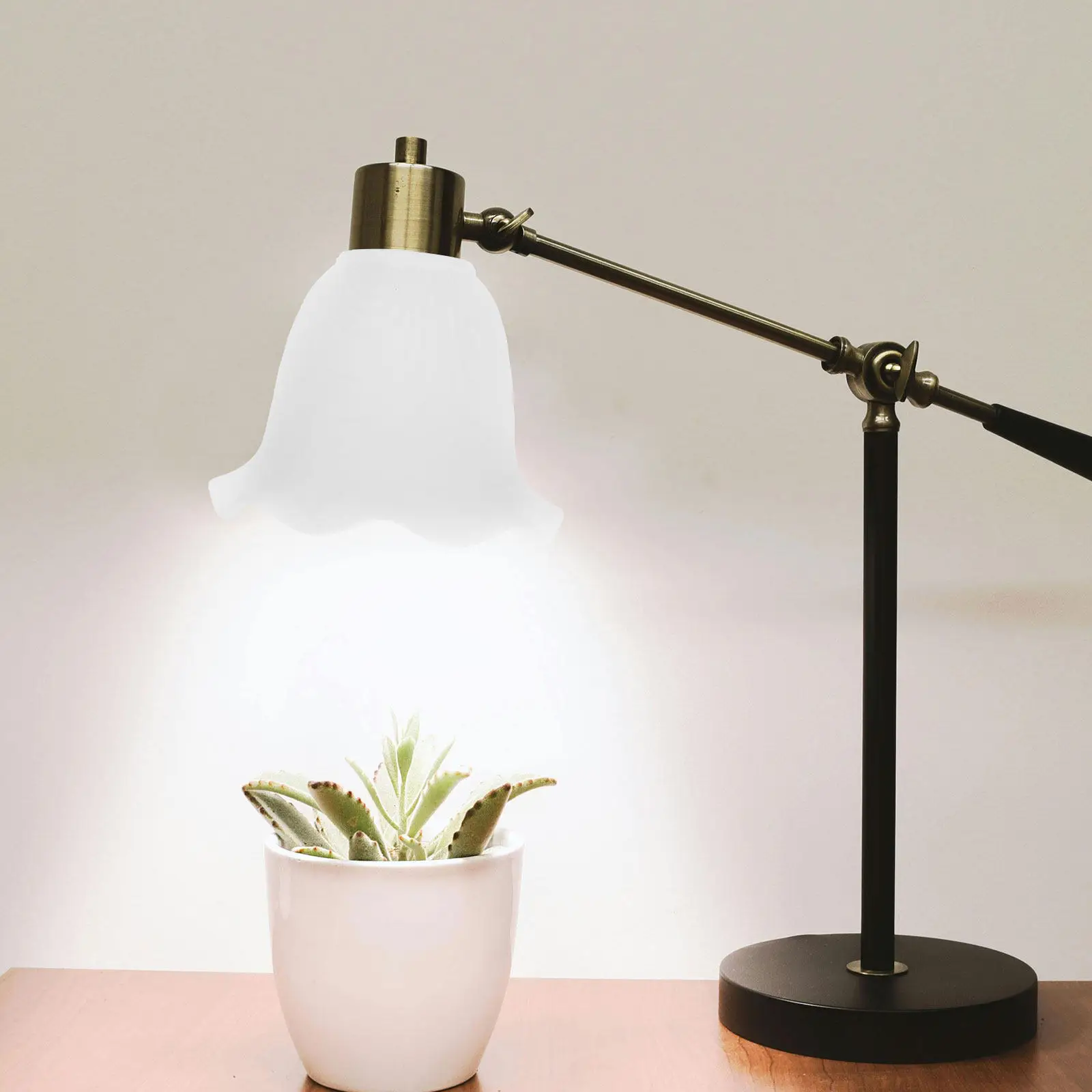 

Glass Lampshade Replacement for Pendant Ceiling Light Modern Simple Decorative Hanging Lamp Shade Reverse Mouth Design Warm Soft