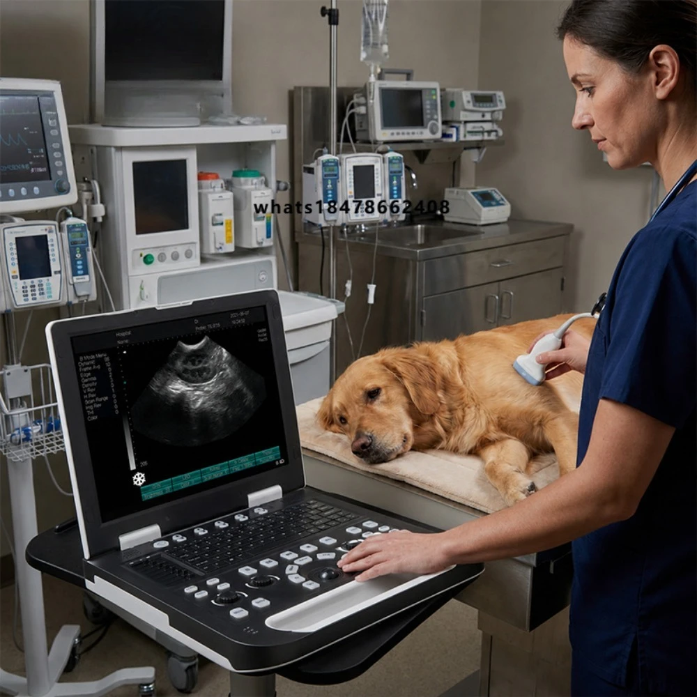 Human medical black and white ultrasound machine, black and white ultrasound machine price, portable veterinary scanner