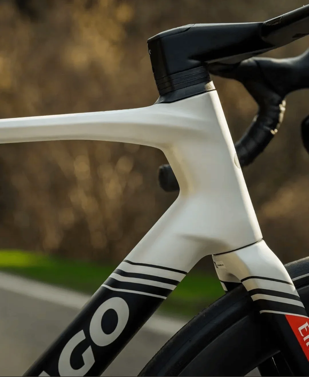 T1200 Carbon Fiber Bicycle V5RS, Frame Set Includes Handlebars, Front Fork, Seat Tube, Frame, Accessories, Custom